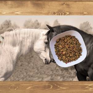 Napfunterlage | Futtermatte „Liebende Pferde“ aus Premium Vinyl - 60x40 cm - rutschhemmend, abwaschbar, reißfest - Made Bild 1