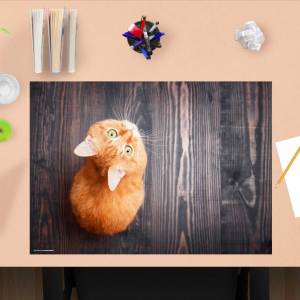 Schreibtischunterlage – Orange Katze – 60 x 40 cm – Schreibunterlage für Kinder aus erstklassigem Premium Vinyl – Made i Bild 1