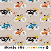 Lillestoff bicycle ride Bild 1