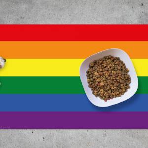 Napfunterlage | Futtermatte „Flagge Regenbogen“ aus Premium Vinyl - 60x40 cm - rutschhemmend, abwaschbar, reißfest - Mad Bild 1