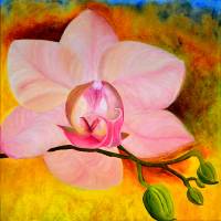 Klebefolie - Malerei • "Orchideenblüte mit Knospen" • Design  Ulrike Kröll Bild 1