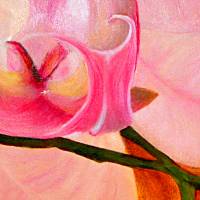 Klebefolie - Malerei • "Orchideenblüte mit Knospen" • Design  Ulrike Kröll Bild 4