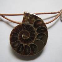 Ammonit Anhänger gebohrt mit Lederband, Karabiner versilbert, Edelsteinanhänger, Unikat, Kristallgrotte Bild 1