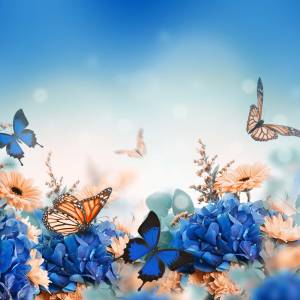 Schreibtischunterlage – Frühlingswiese mit Schmetterling – 70 x 50 cm – Schreibunterlage aus erstklassigem Premium Vinyl Bild 2