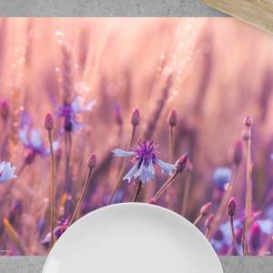 Tischsets I Platzsets abwaschbar - Kornblumen in der Morgenröte - aus Premium Vinyl - 4 Stück - 44 x 32cm - Tischdekorat Bild 2