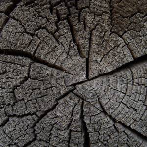 Napfunterlage | Futtermatte „Baumstumpf Holztextur“ aus Premium Vinyl - 60x40 cm – rutschhemmend, abwaschbar, reißfest - Bild 4
