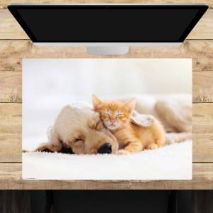 Schreibtischunterlage –Freundschaft zwischen Katze und Hund– 70 x 50 cm – Schreibunterlage aus erstklassigem Premium Vin Bild 1