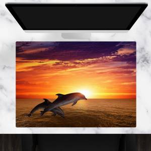 Schreibtischunterlage – Delfine im Sonnenuntergang – 70 x 50 cm – Schreibunterlage aus erstklassigem Premium Vinyl – Mad Bild 1