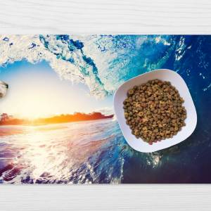 Napfunterlage | Futtermatte „Die Perfekte Welle“ aus Premium Vinyl - 60x40 cm - rutschhemmend, abwaschbar, reißfest - Ma Bild 1