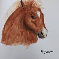 Aquarell Gemälde Pony Bild 1