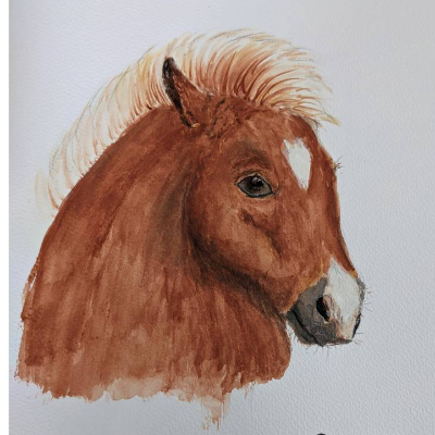 Aquarell Gemälde Pony