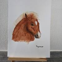Aquarell Gemälde Pony Bild 2