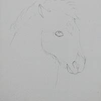 Aquarell Gemälde Pony Bild 3