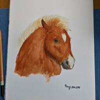 Aquarell Gemälde Pony Bild 4