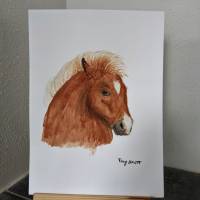 Aquarell Gemälde Pony Bild 5