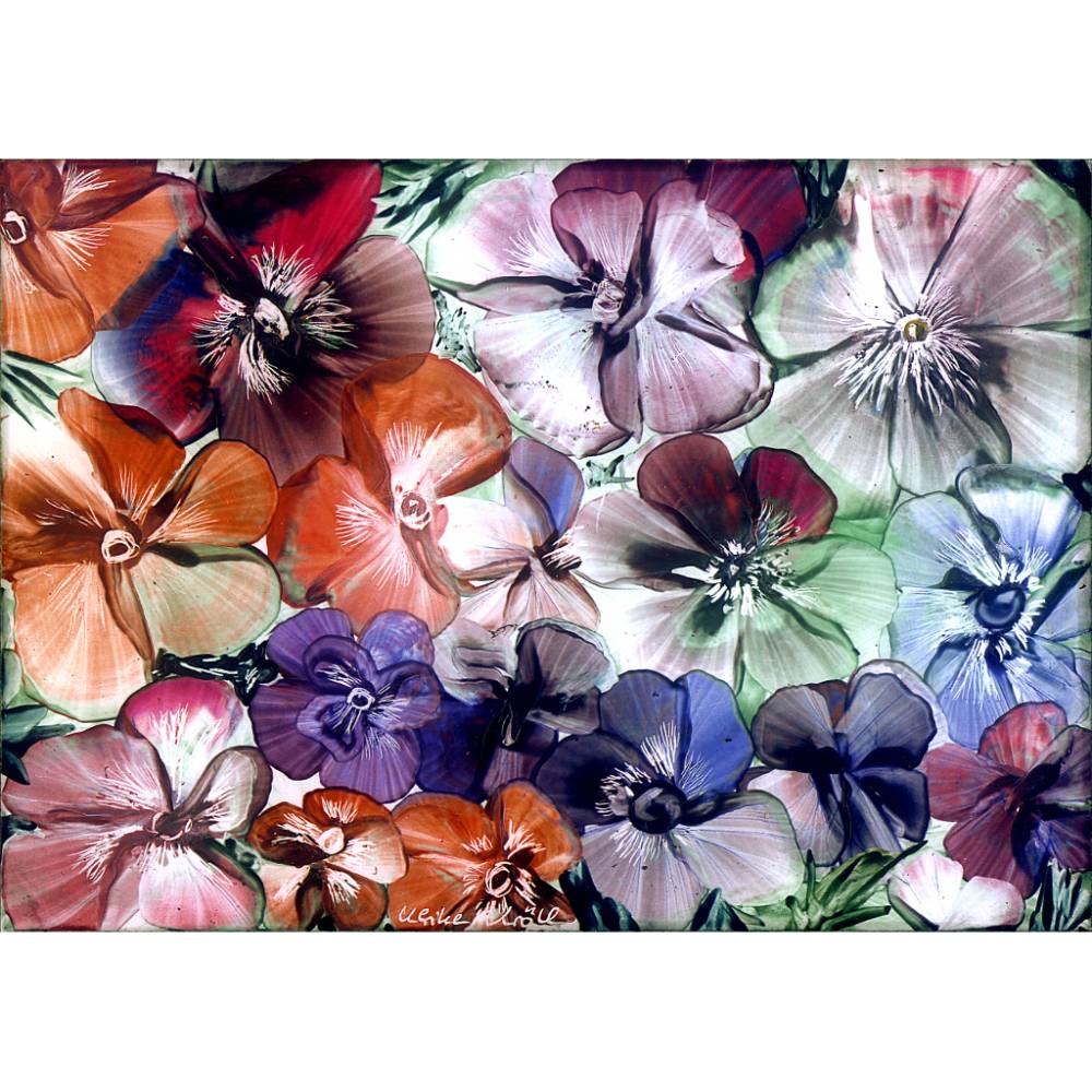 Klebefolie - Malerei • "Sommerblüten" • Design  Ulrike Kröll Bild 1