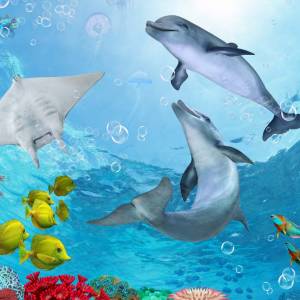 Schreibtischunterlage – Delfine unter Wasser – 60 x 40 cm – Schreibunterlage für Kinder aus erstklassigem Premium Vinyl Bild 2