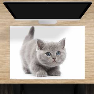 Schreibtischunterlage – Süße graue Katze – 70 x 50 cm – Schreibunterlage für Kinder aus erstklassigem Premium Vinyl – Ma Bild 1