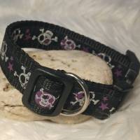 Hundehalsband Halsband "Skulls", lila auf schwarz ca. 28cm-41cm, 2,5cm breit Bild 2