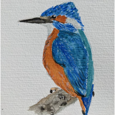 Aquarell Postkarte Grußkarte Eisvogel