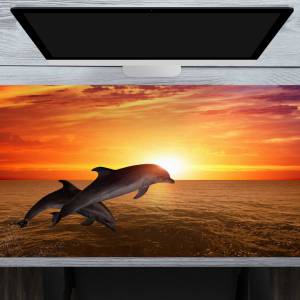 Schreibtischunterlage XXL – Delfine im Sonnenuntergang – 100 x 50 cm – Schreibunterlage für Kinder aus erstklassigem Pre Bild 1