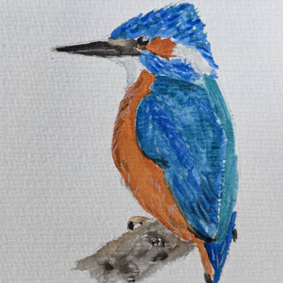Aquarell Postkarte Grußkarte Eisvogel
