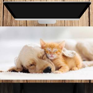 Schreibtischunterlage XXL – Freundschaft zwischen Katze und Hund – 100 x 50 cm – Schreibunterlage für Kinder aus erstkla Bild 1