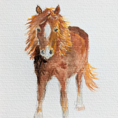 Postkarte Aquarell Pony
