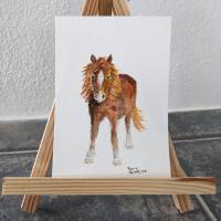 Postkarte Aquarell Pony Bild 5