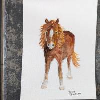 Postkarte Aquarell Pony Bild 6