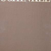 Karl Friedrich Schinkel - Sein Wirken als Architekt Bild 1