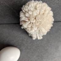 Süße Pudelmützen-Eierwärmer aus Wolle Natur Bild 2