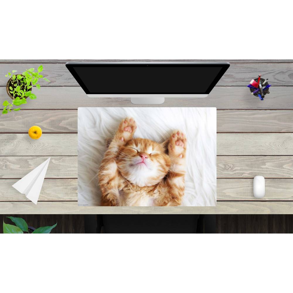 Schreibtischunterlage – Süßes Katzenbaby beim schlafen  – 70 x 50 cm – Schreibunterlage aus erstklassigem Premium Vinyl Bild 1