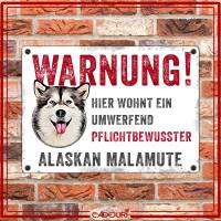 Hundeschild WARNUNG! mit Alaskan Malamute, wetterbeständiges Warnschild Bild 2