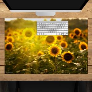 Schreibtischunterlage – Sonnenblumenfeld – 60 x 40 cm – Schreibunterlage für Kinder aus erstklassigem Premium Vinyl – Ma Bild 1