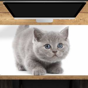 Schreibtischunterlage XXL – Süße graue Katze – 100 x 50 cm – Schreibunterlage für Kinder aus erstklassigem Premium Vinyl Bild 1