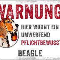 Hundeschild WARNUNG! mit Beagle, wetterbeständiges Warnschild Bild 1