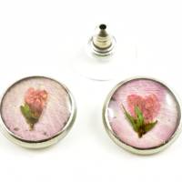 Stecker Ohrringe mit echten Blüten, rosa Rosen Blüten, runde Ohrstecker, Edelstahl, Blütenschmuck, rosa, Blume, Geschenk Bild 5