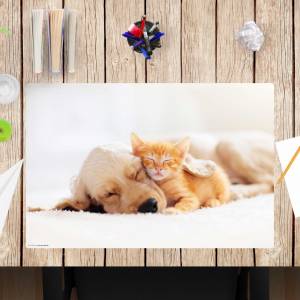 Schreibtischunterlage – Freundschaft zwischen Katze und Hund – 60 x 40 cm – Schreibunterlage für Kinder aus Premium Viny Bild 1