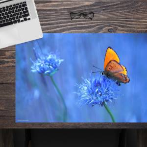 Schreibtischunterlage – Orangener Schmetterling – 60 x 40 cm – Schreibunterlage für Kinder aus erstklassigem Premium Vin Bild 1