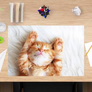 Schreibtischunterlage – Süsses Katzenbaby beim schlafen – 60 x 40 cm – Schreibunterlage für Kinder aus Premium Vinyl – M Bild 1