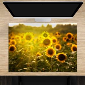 Schreibtischunterlage – Sonnenblumenfeld – 70 x 50 cm – Schreibunterlage für Kinder aus erstklassigem Premium Vinyl – Ma Bild 1