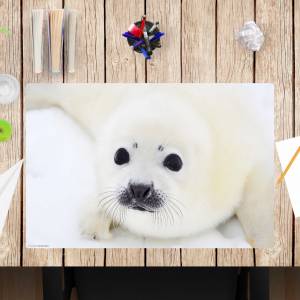 Schreibtischunterlage –  Süße weiße Robbe  – 60 x 40 cm – Schreibunterlage für Kinder und Erwachsene aus Premium Vinyl – Bild 1