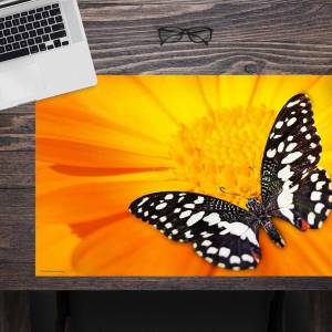 Schreibtischunterlage – Schwarz-Weißer Schmetterling – 60 x 40 cm – Schreibunterlage für Kinder aus Premium Vinyl – Made Bild 1