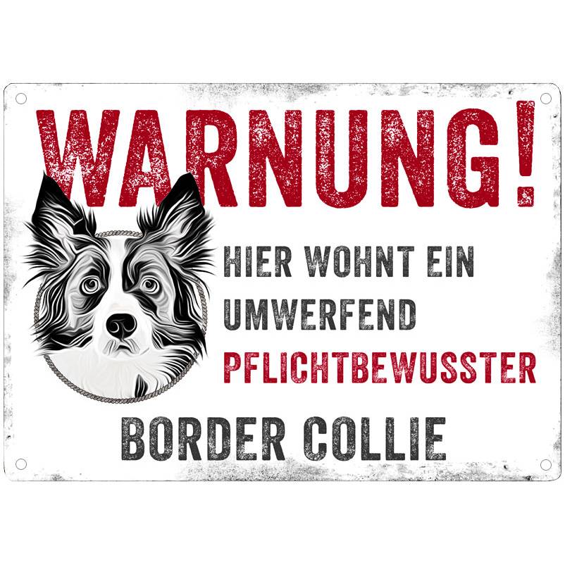 Hundeschild WARNUNG! mit Border Collie, wetterbeständiges Warnschild Bild 1