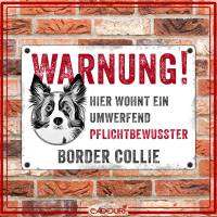 Hundeschild WARNUNG! mit Border Collie, wetterbeständiges Warnschild Bild 2