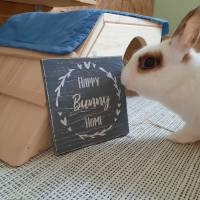 Holzschild "Happy Bunny Home" im Shabby Look Bild 3