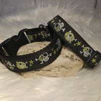 Hundehalsband Halsband "Skulls", grün, 2cm breit Bild 1