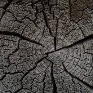 Napfunterlage | Futtermatte „Baumstumpf Holztextur“ aus Premium Vinyl - 44x32 cm – rutschhemmend, abwaschbar, reißfest - Bild 4