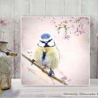 BLAUMEISE Wandbild auf Leinwandwand Holz Kunstdruck Landhausstil Tierbild Vogel Shabby Chic Vintage Style online kaufen Bild 1